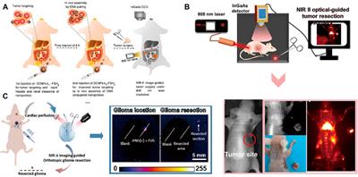 Near-Infrared Inorganic Nanomaterials for Precise Diagnosis and Therapy